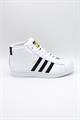 ADIDAS PRO MODEL