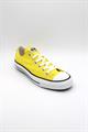 CONVERSE CHUCK TAYLOR ALL STAR SPEC OX