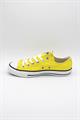 CONVERSE CHUCK TAYLOR ALL STAR SPEC OX