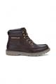 CAT COLORADO MOC TOE