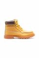 CAT COLORADO MOC TOE