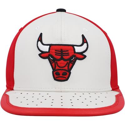 MITCHELL & NESS NBA DAY ONE PRO BULLS