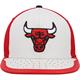 MITCHELL & NESS NBA DAY ONE PRO BULLS