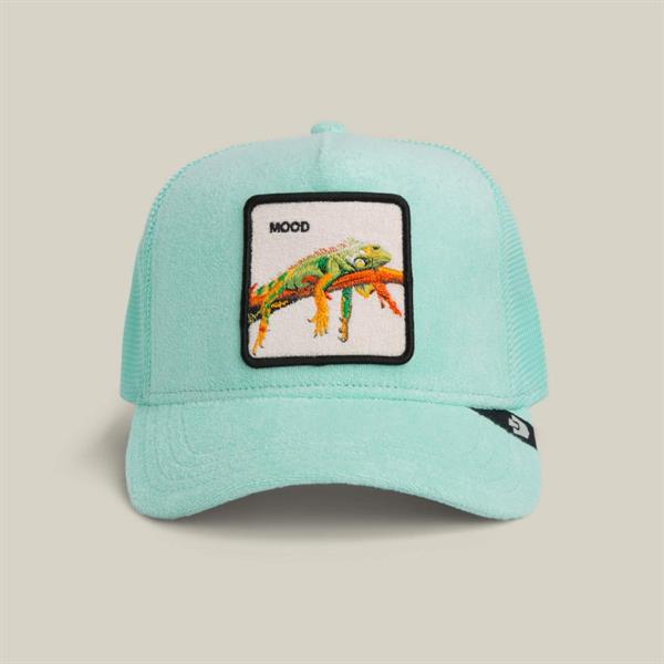 GOORIN CAP TERRY CLOTH IGUANA