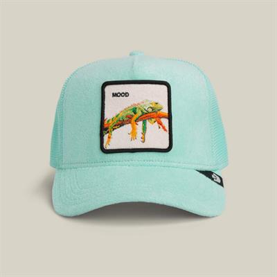 GOORIN CAP TERRY CLOTH IGUANA