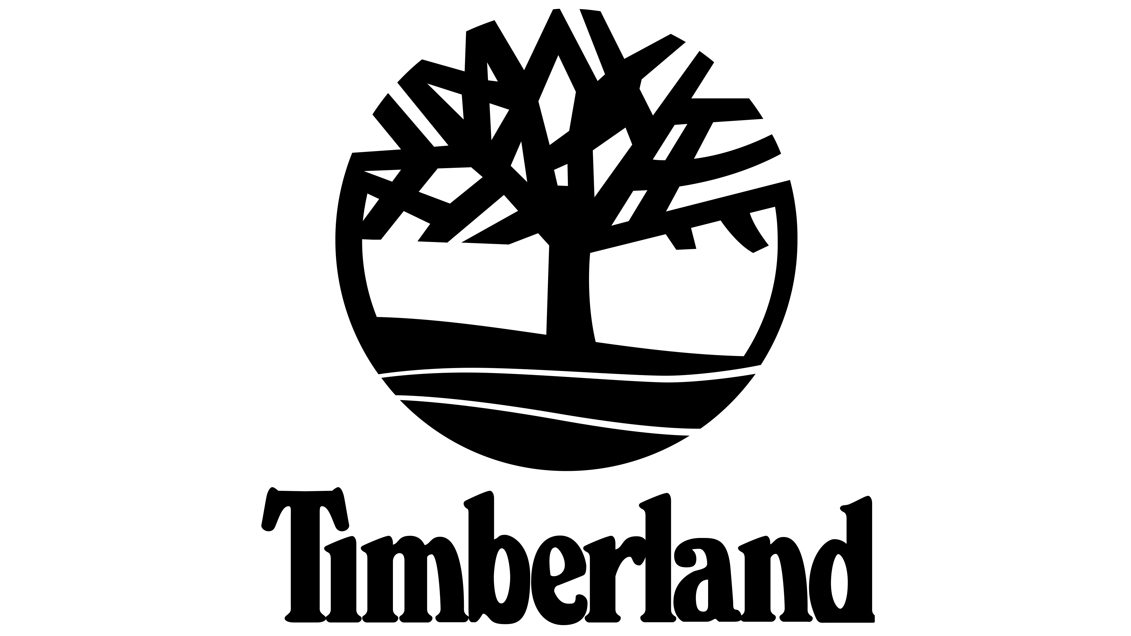 timberland